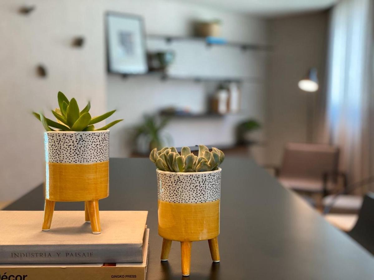 Radisson Oscar Freire Hotel São Paulo Eksteriør billede Succulents in a home